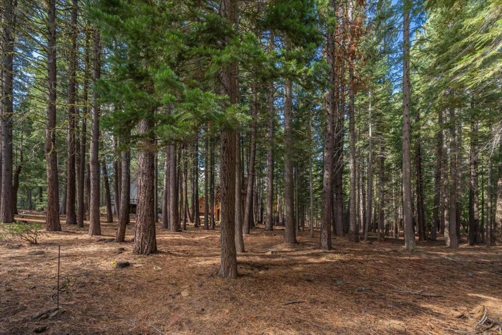 3Br Tahoe Donner Cabin With Hoa Perks Like Pools Hot-Tub Minutes To Trails Lake Golf Truckee Exteriör bild